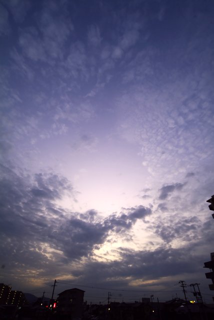 d0131982_8363537.jpg