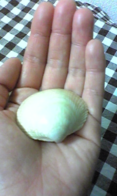 f0059987_20224466.jpg
