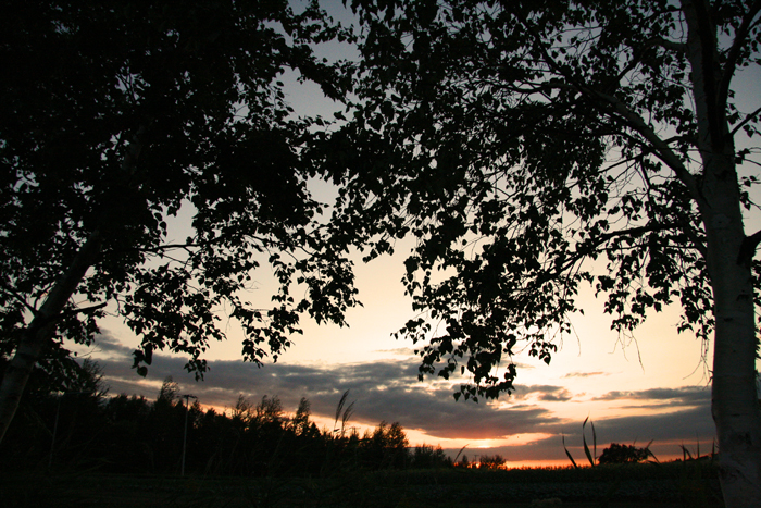 f0001895_1548051.jpg