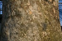 e0122199_16224768.jpg