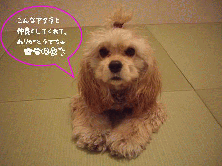 c0128303_21303452.gif