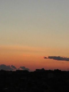d0052904_8315378.jpg