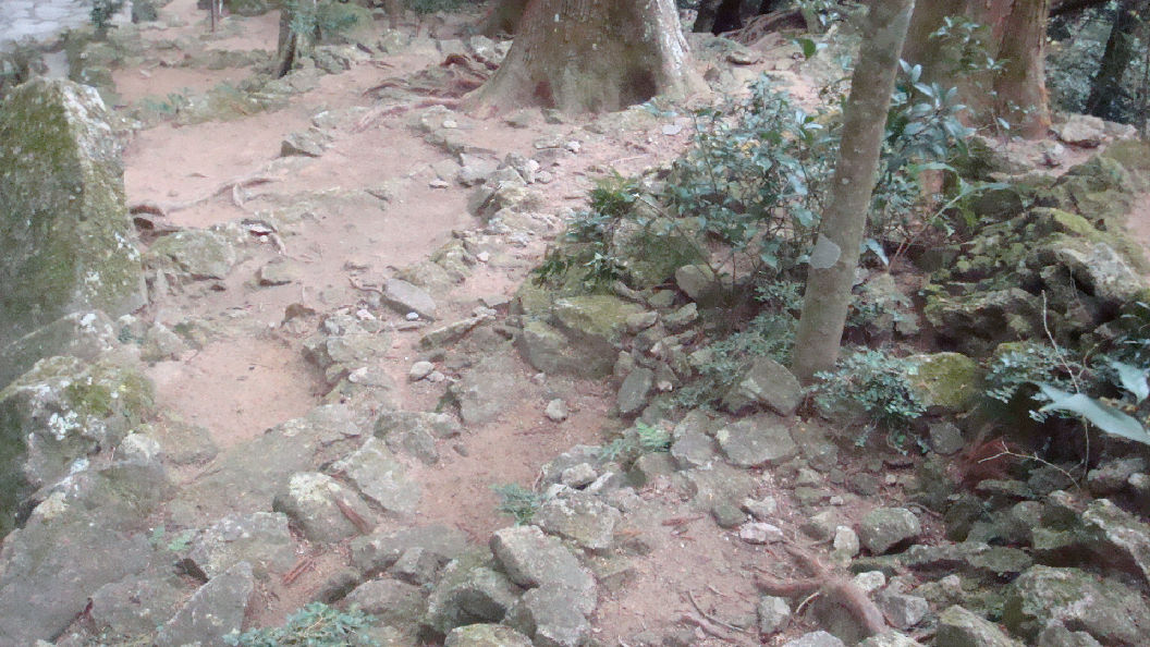 f0138304_16251178.jpg
