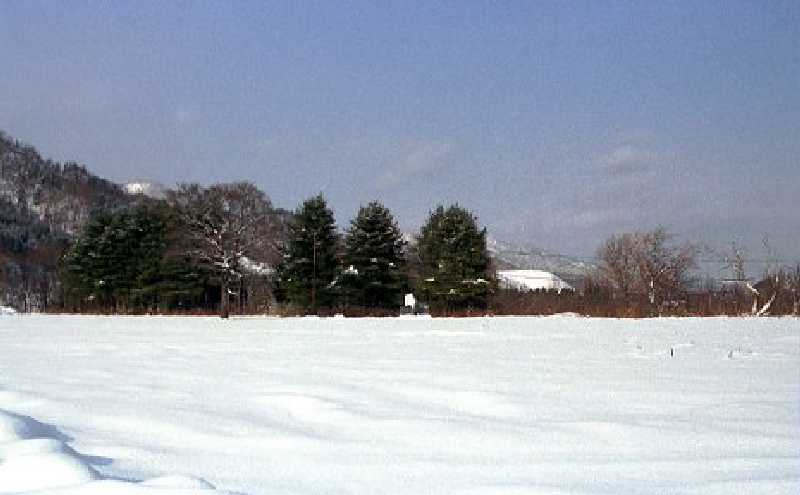 d0119909_12342322.jpg