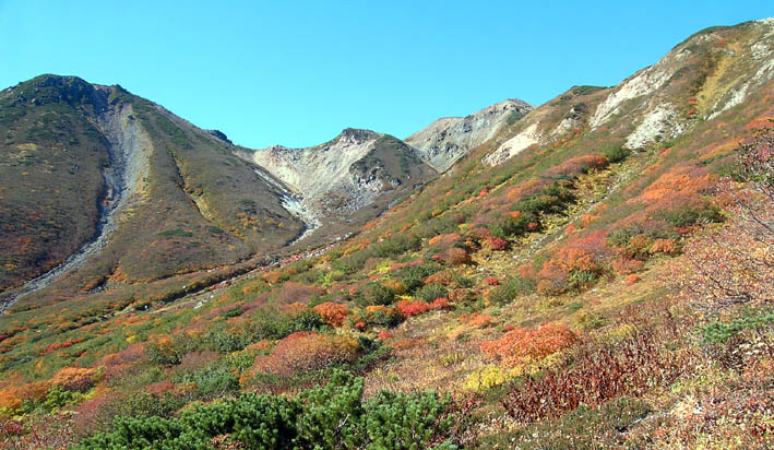 ２００７年　白山展望　好天に恵まれた山行_c0078410_2129289.jpg