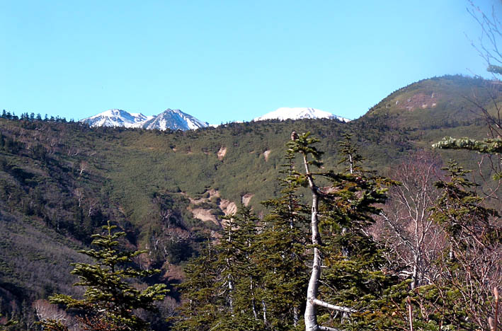 c0078410_21305920.jpg