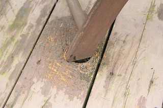 c0156510_1746880.jpg