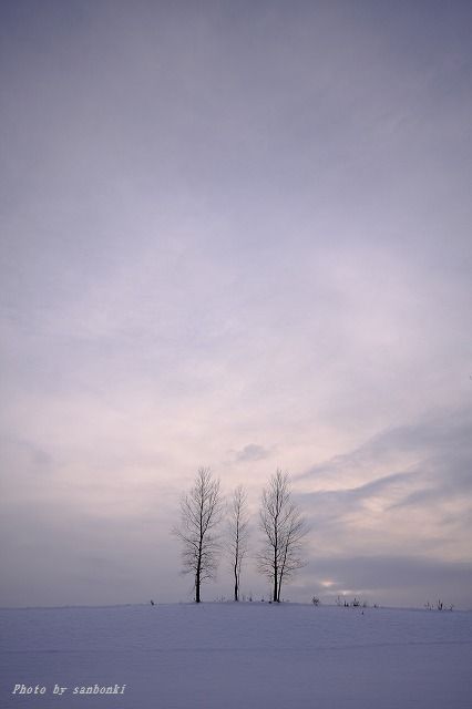 f0139911_19222121.jpg