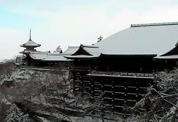 a0055913_005587.gif