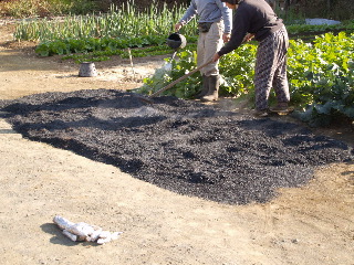 e0112213_9525730.jpg