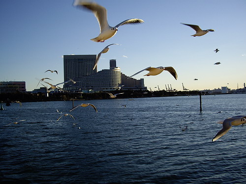 a0091314_21545747.jpg