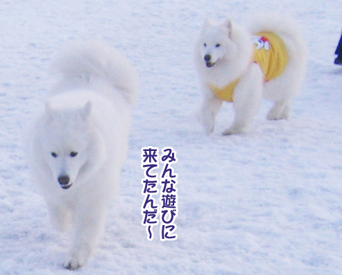 a0044521_1414439.jpg