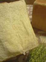 e0009324_113166.jpg