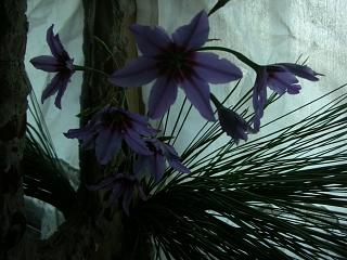 c0102228_20234097.jpg