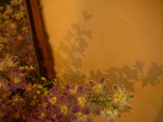 c0102228_20264835.jpg