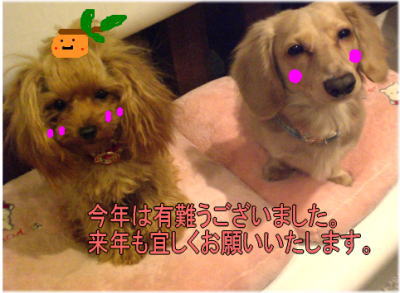 今年は、有難うございました。_b0084929_21225324.jpg