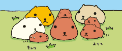 e0115329_114926.gif