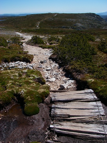 New Year,s Eve fro Cradle Mt Tasmania_f0050534_13195253.jpg