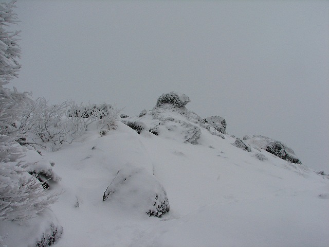 12月30日（日） 黒斑山♪_b0097836_18134927.jpg