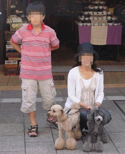 c0136736_19233140.gif