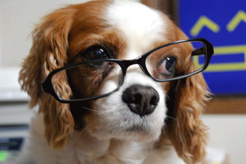 c0136838_22214977.gif
