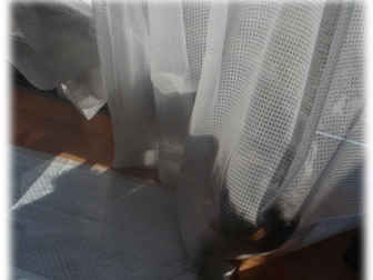 c0086746_13728.jpg