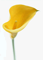 本日で2007年の定時診療は終了となりました_b0102247_153144.gif
