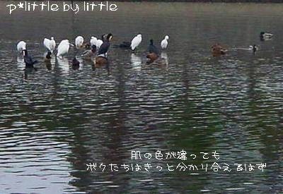 e0126350_1557535.jpg