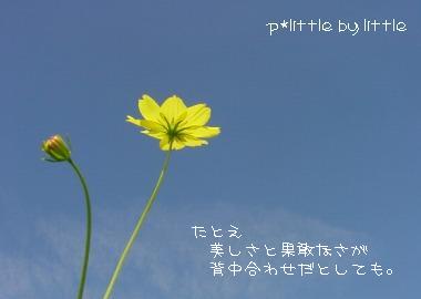 e0126350_16314910.jpg