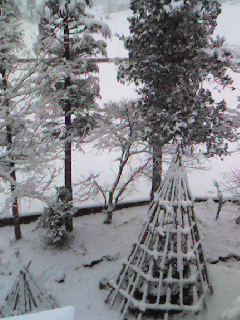 c0079951_10373910.jpg