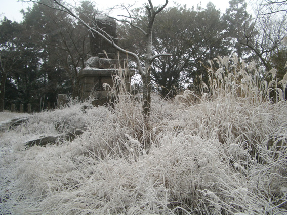 山と海の幸 2007.12.30_b0002156_11474131.jpg
