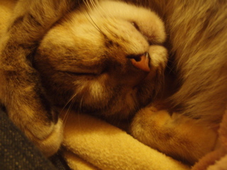 b0058956_07769.jpg