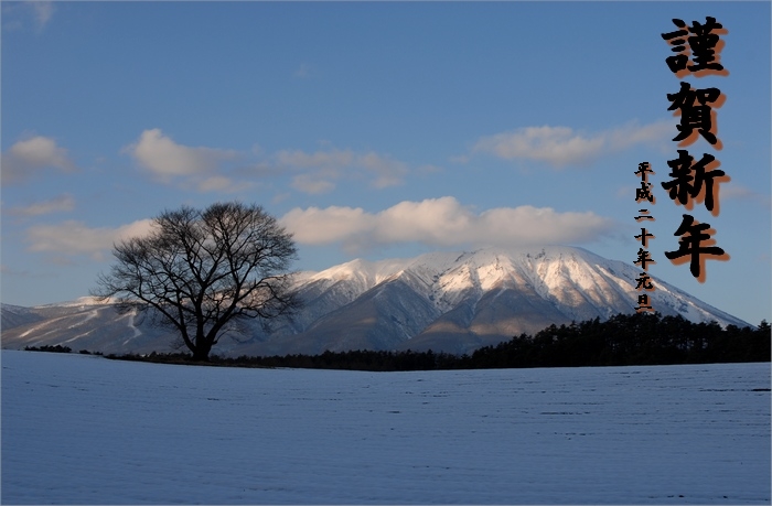 明けましておめでとうございます_f0088971_235151.jpg