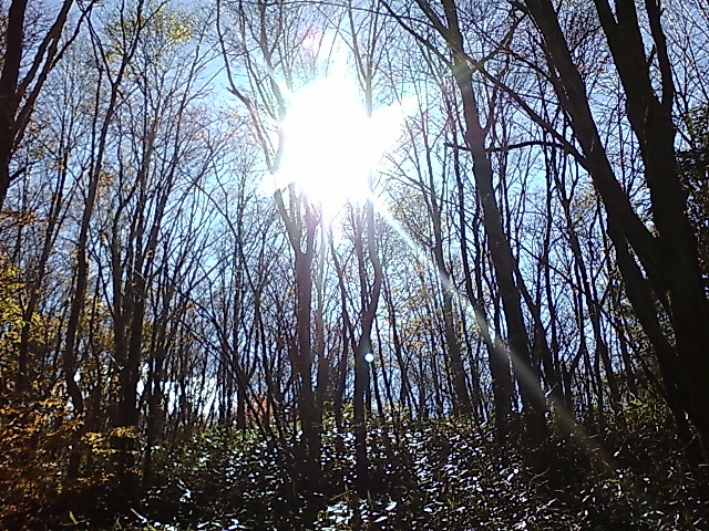 c0082573_13361036.jpg