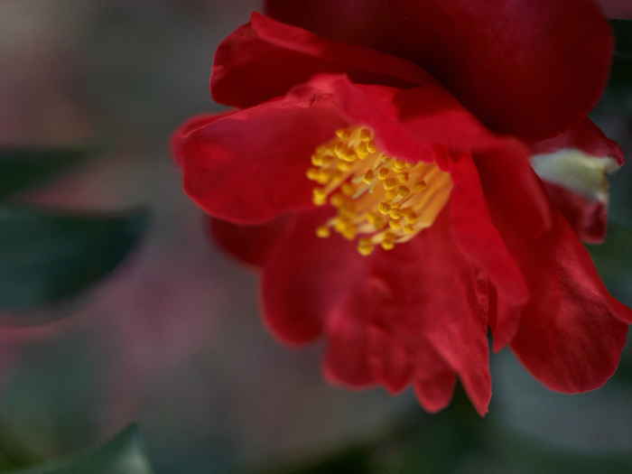 c0036985_1883072.jpg
