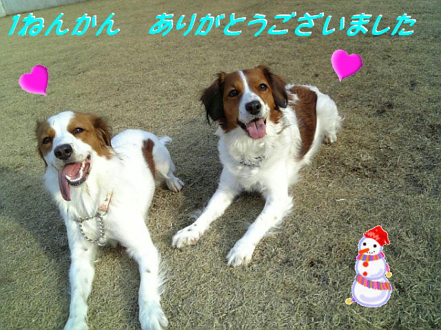 c0075585_8471289.jpg
