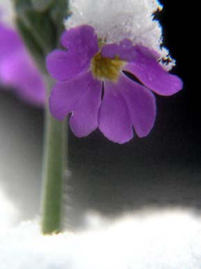 b0119190_13503590.jpg