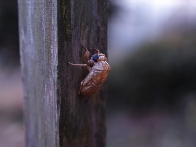 c0136092_11443.jpg