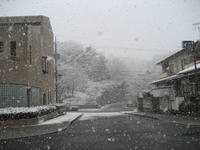 a0068693_19182581.jpg