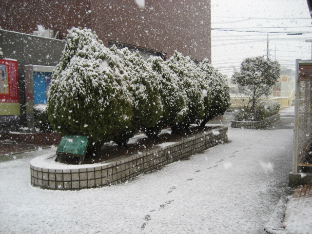 a0068693_1918767.jpg
