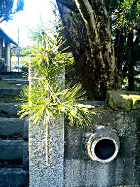 a0102098_22371378.jpg