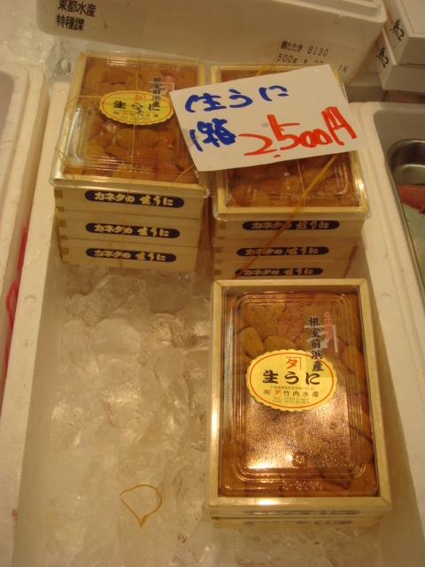 e0028505_223166.jpg