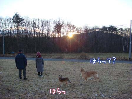 初日の出_f0064906_164625.jpg