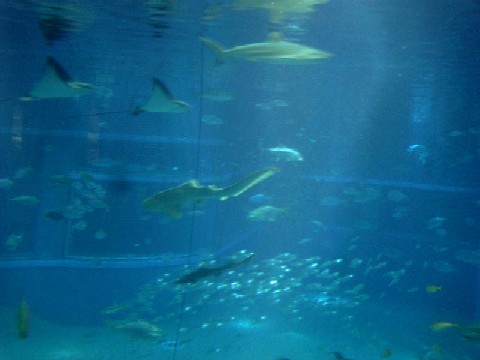 e0099212_2134328.jpg