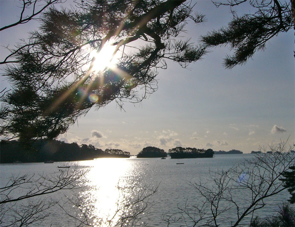 元旦の海　松島　奥松島_f0107517_14435315.jpg