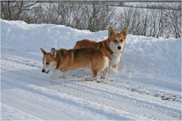 2008年1月1日（ＴＵＥ）■明けましておめでとうございます。_e0077528_1534671.jpg