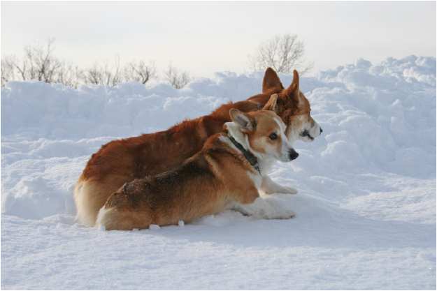 2008年1月1日（ＴＵＥ）■明けましておめでとうございます。_e0077528_1542528.jpg