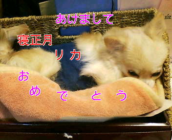 a0090729_19303357.jpg