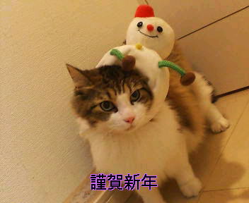 a0090729_20272324.jpg