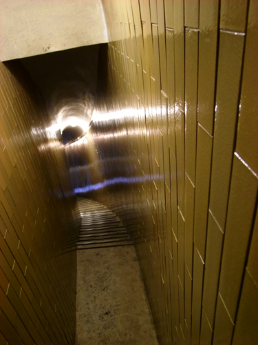 c0077129_23472381.jpg